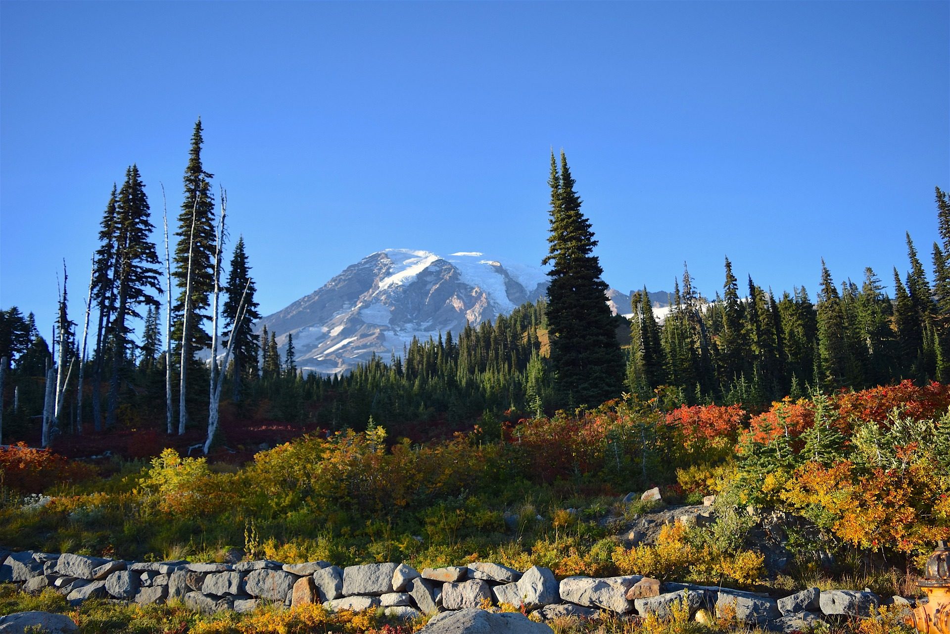 Mount Rainier