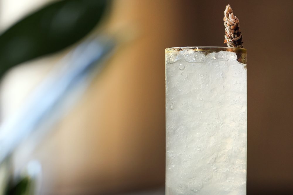 Pine Creek mocktail.