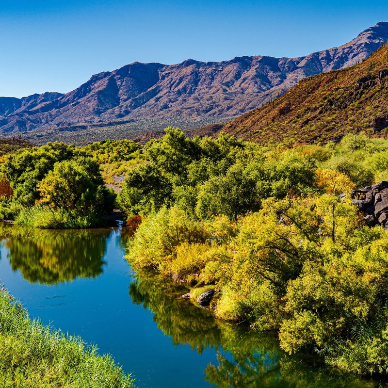 Autumn along the Verde River in Arizona