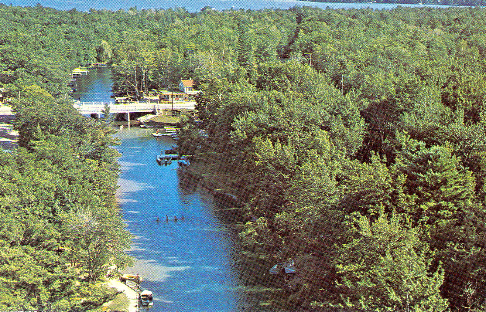 An aerial view of the platte river with dense trees surrounding the path.