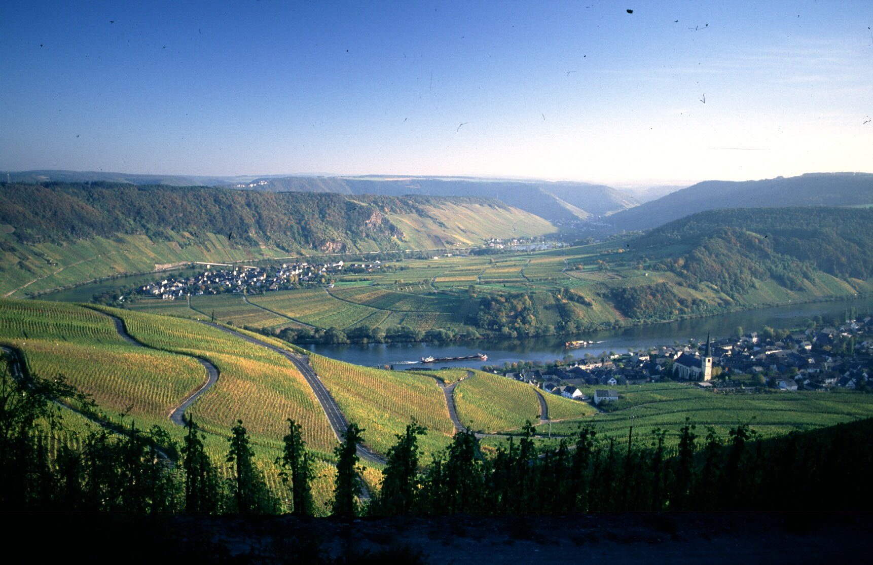 Staffelter Hof Winery, Distillery & Guesthouse since A.D. 862