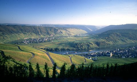 Staffelter Hof Winery, Distillery & Guesthouse since A.D. 862