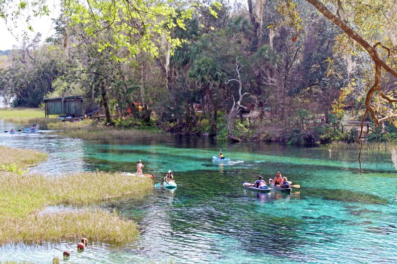 The Rainbow River in Florida on a warm day with people river tubing in it