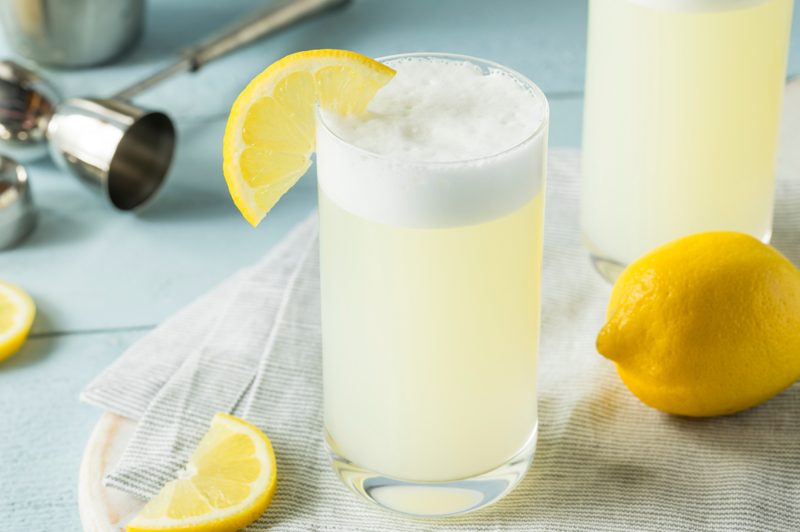 Refreshing Gin Fizz with a Lemon Garnish