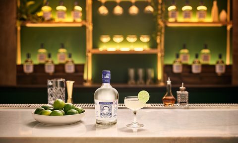 national daiquiri day diplomatico rum
