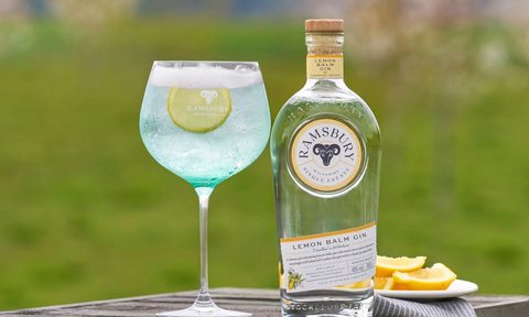 ramsbury distillery lemon balm gin y4dfme5q scaled jpeg1 ezgif com webp to jpg converter