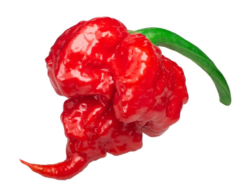 Carolina Reaper