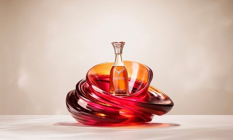 the dalmore luminary no 2 rare 49 year old auction