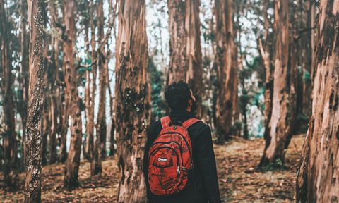 A man looking up in the woods, seemingly lost