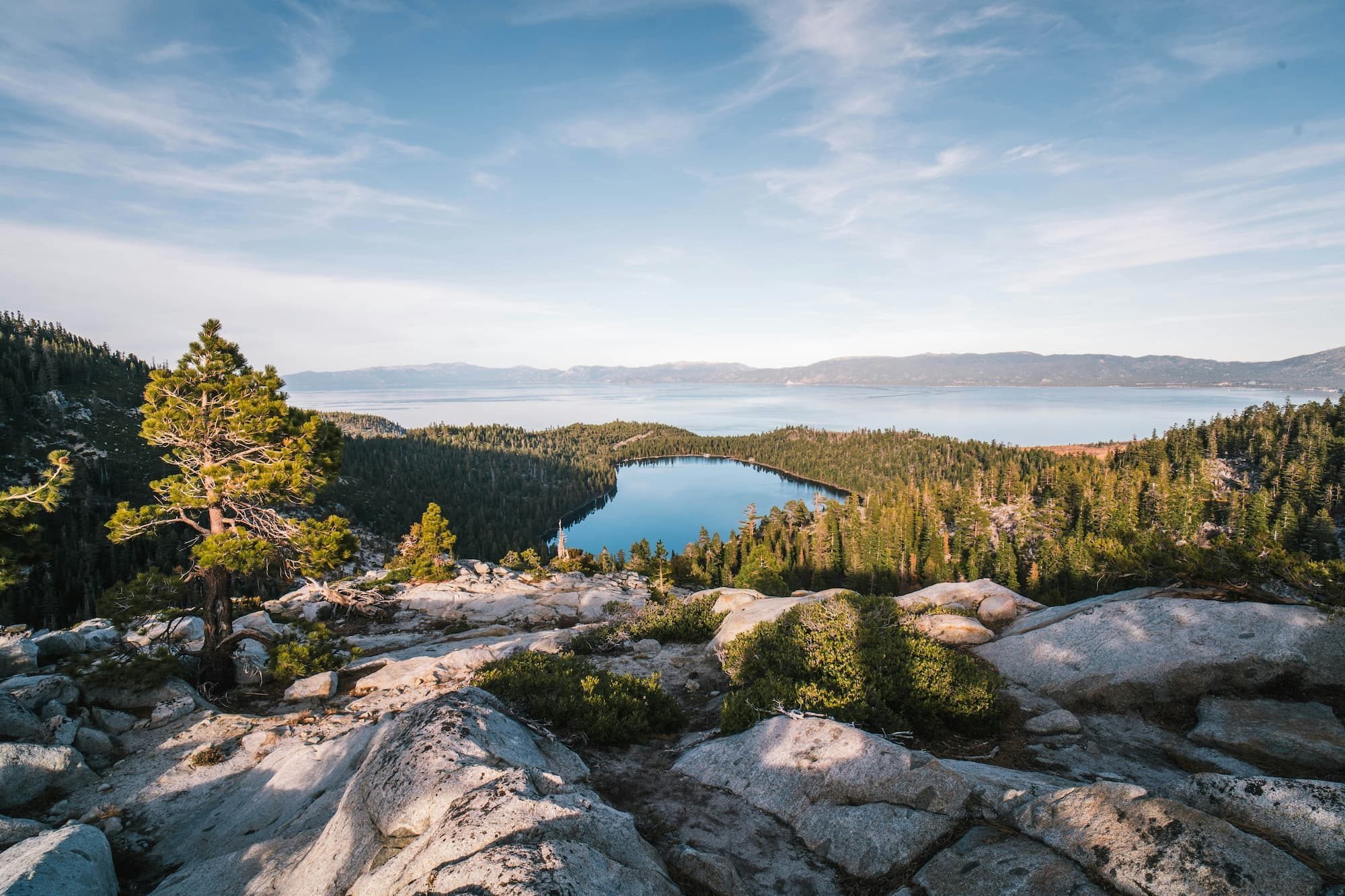 lake surrounded by trees