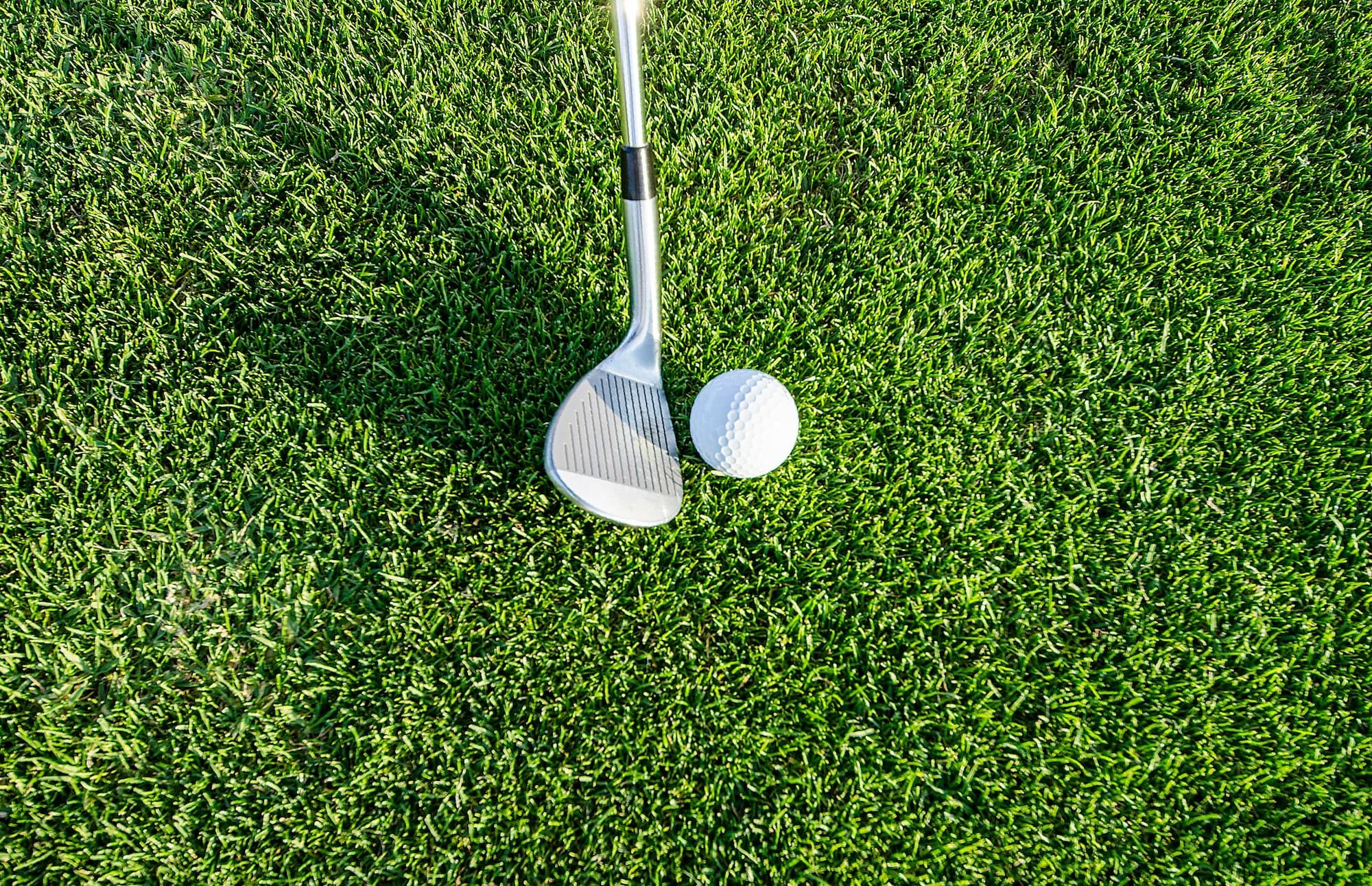 golf ball on grass