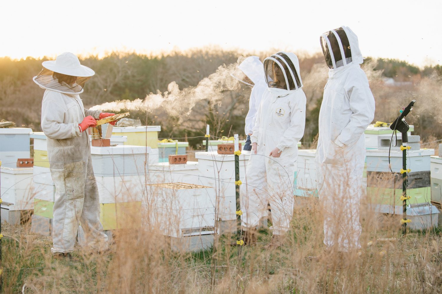 Thistlerock Mead beekeepers.