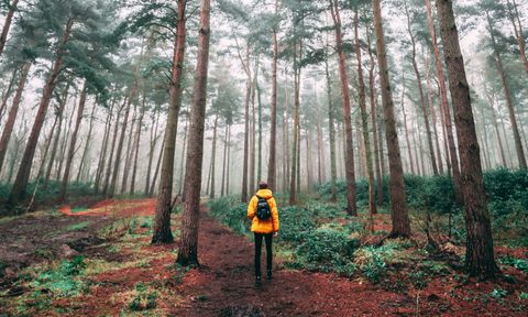 Man wearing yellow jacket and backpack hiking or rucking in forest or woods with tall trees