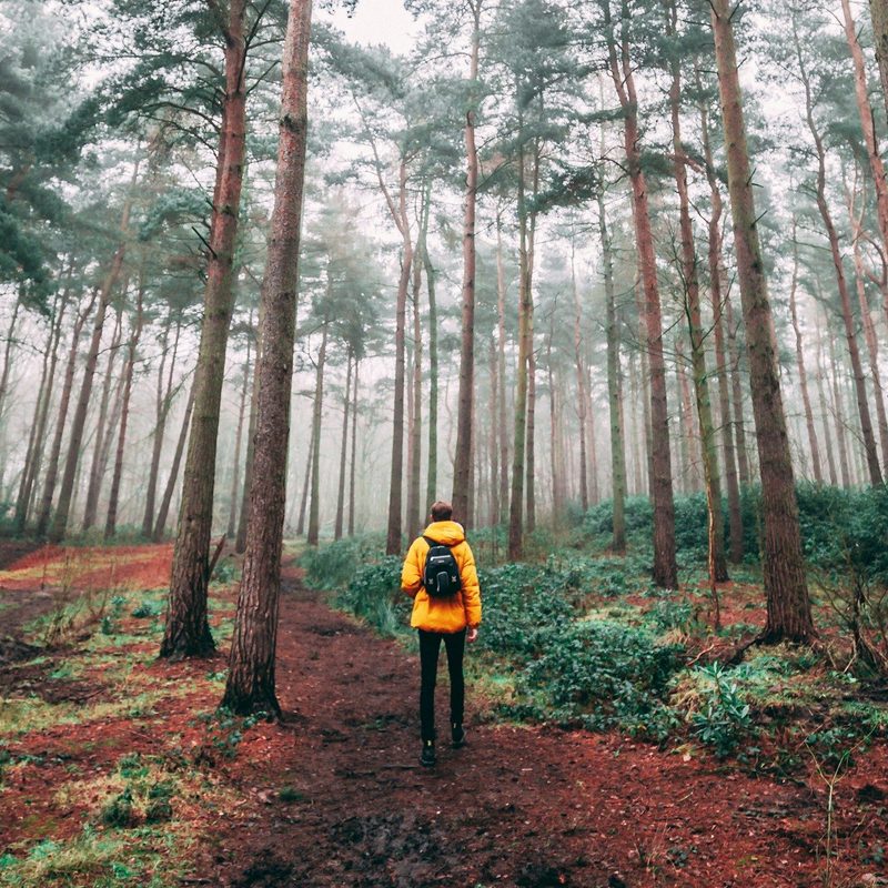 Man wearing yellow jacket and backpack hiking or rucking in forest or woods with tall trees