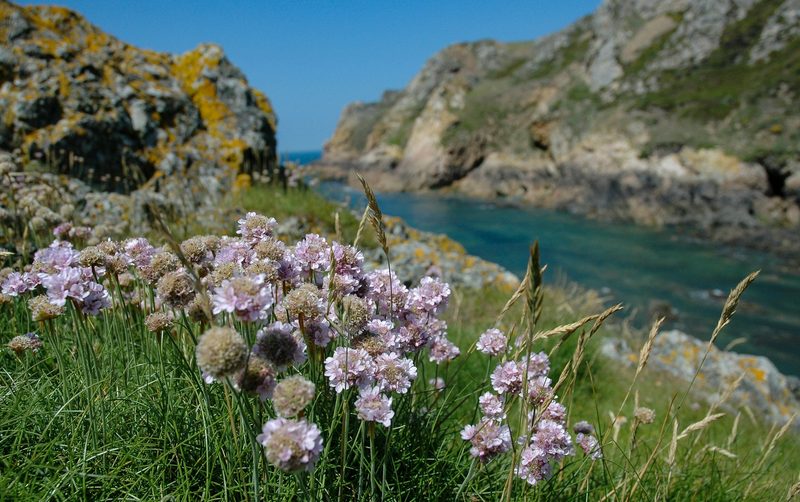 Channel Islands National Park