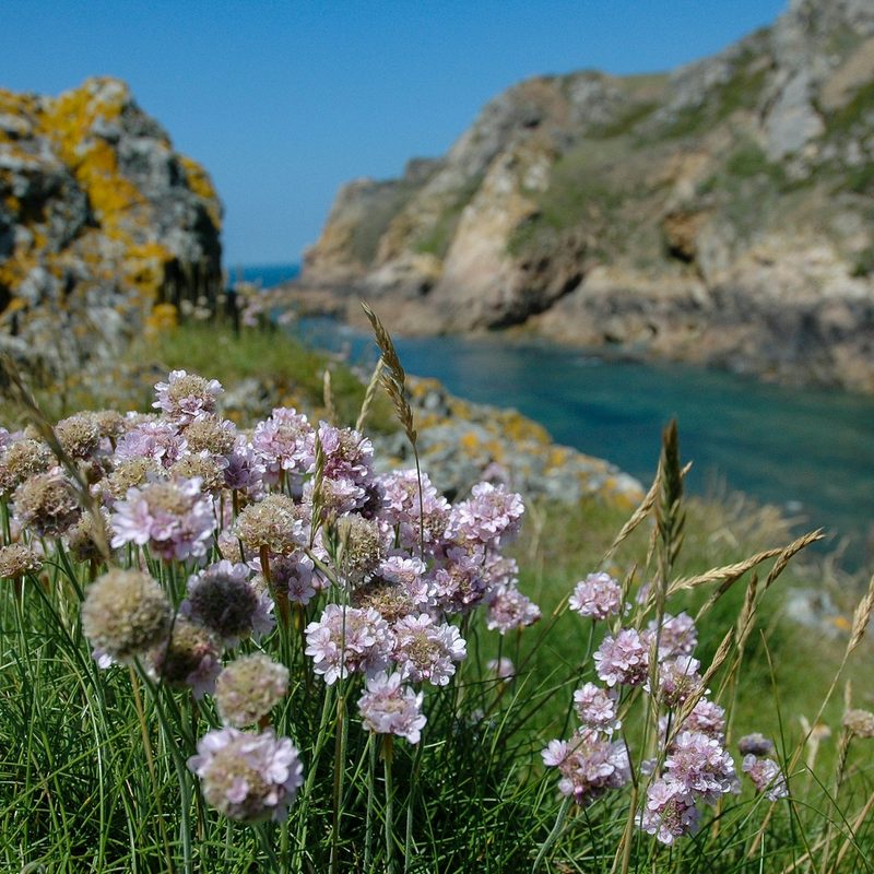 Channel Islands National Park