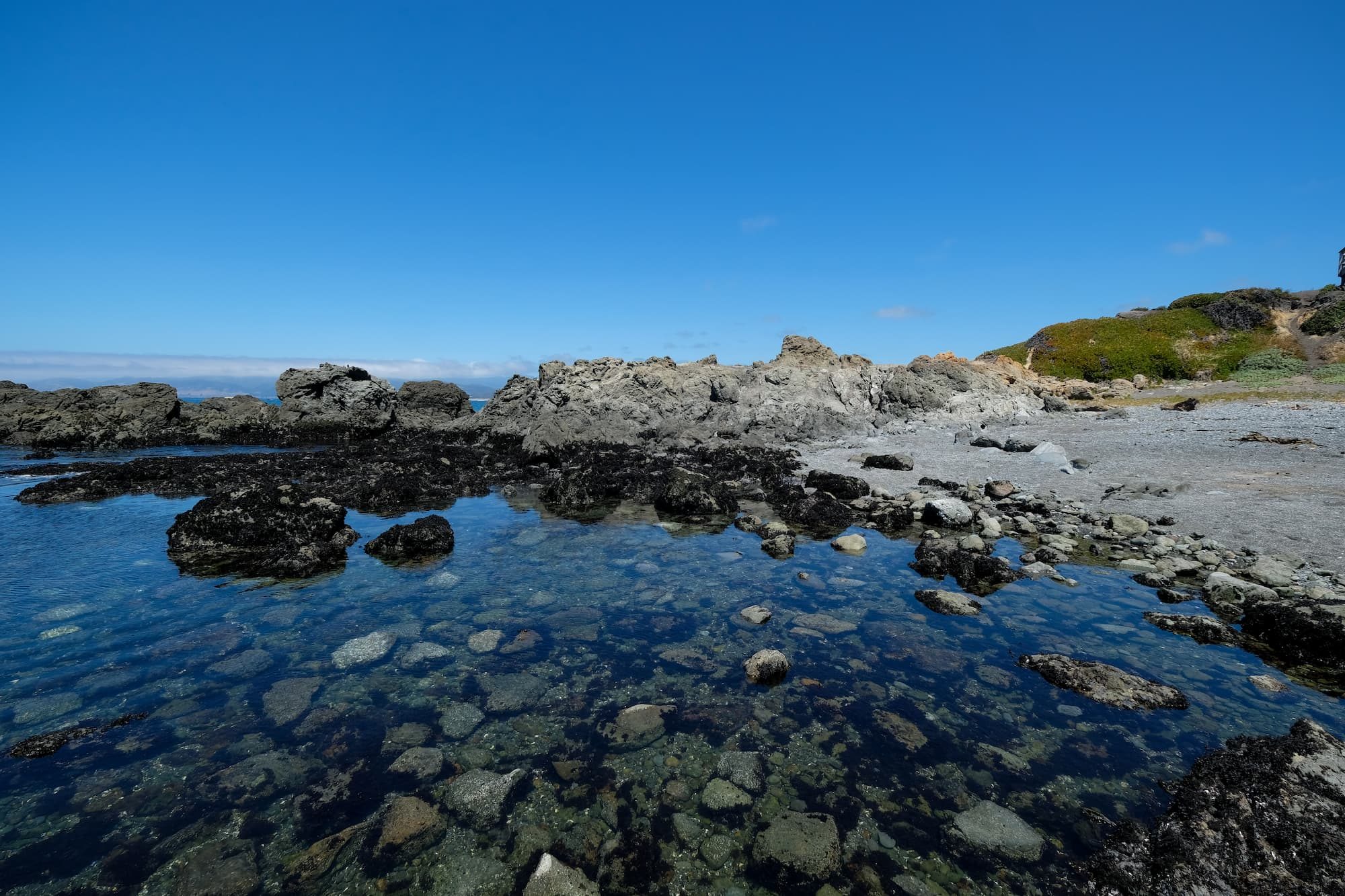 tide pools outside