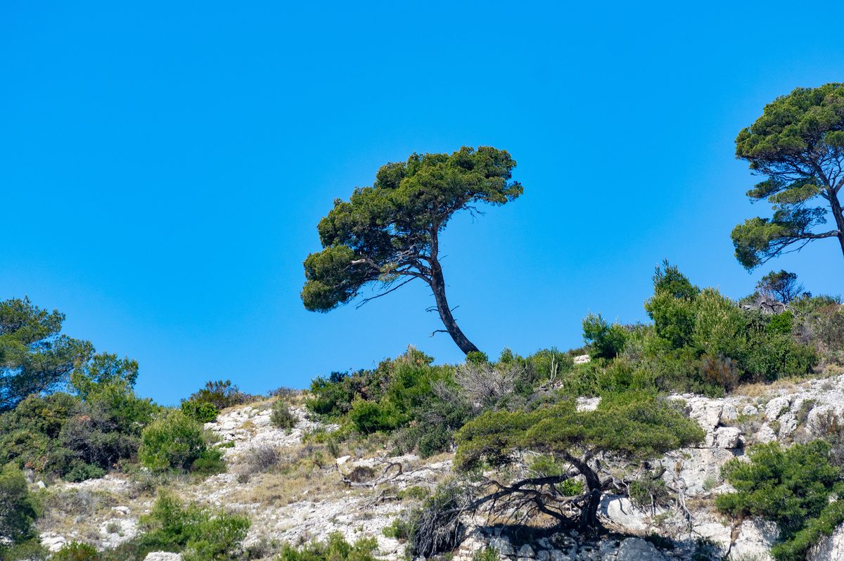 Calanques National Park