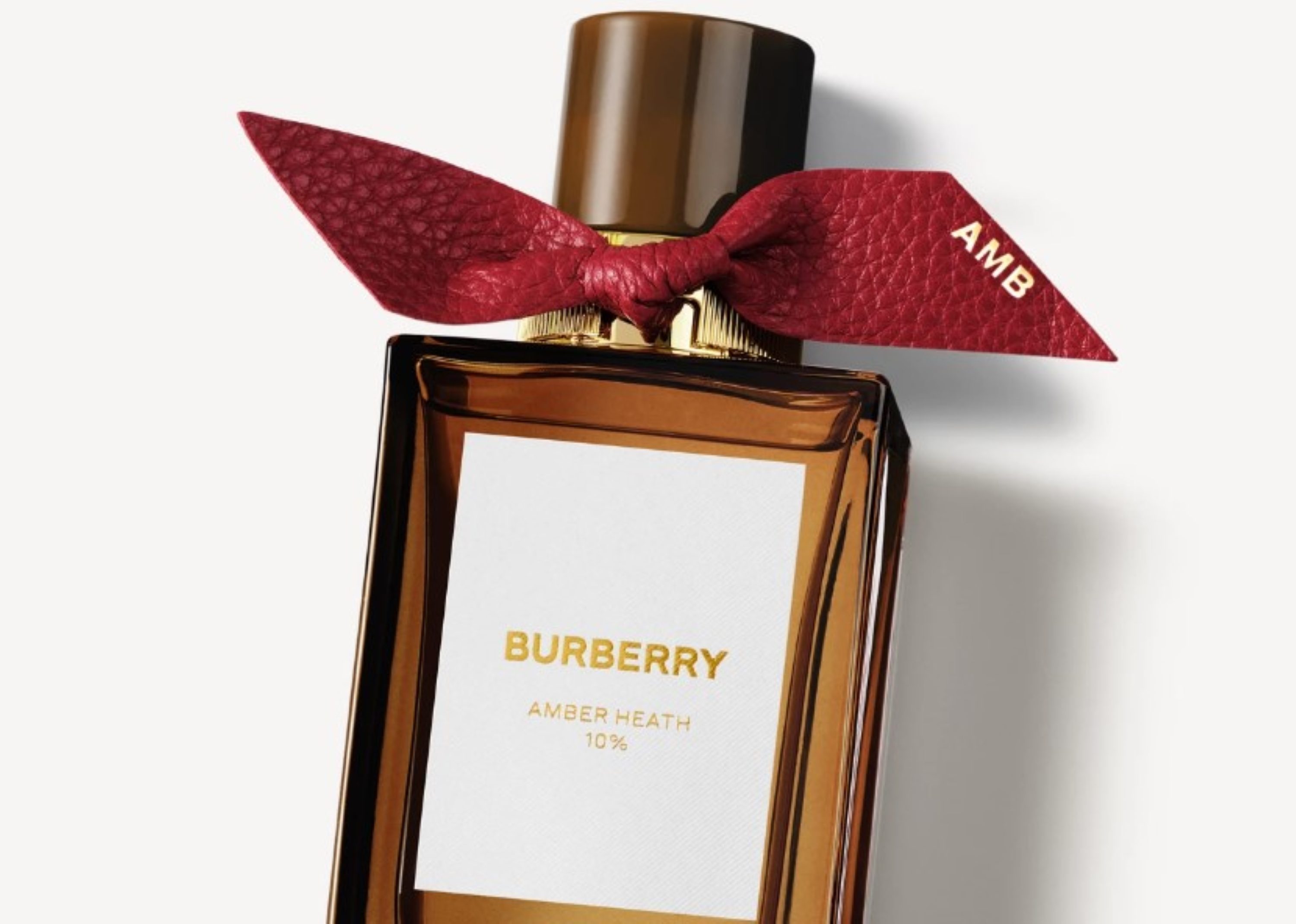Burberry Signatures Amber Heath