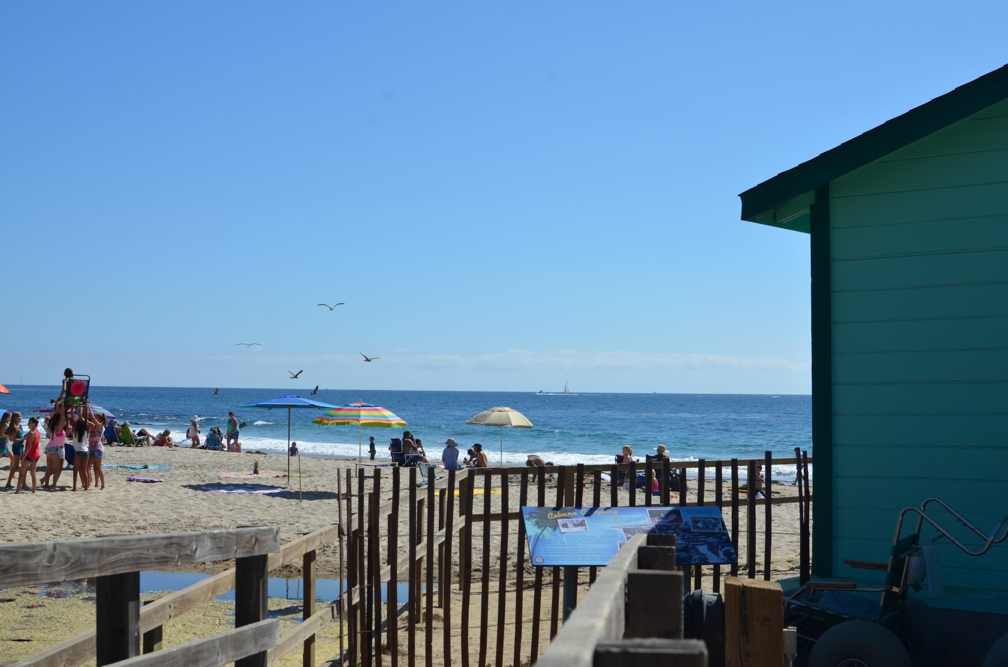 people on beach during day