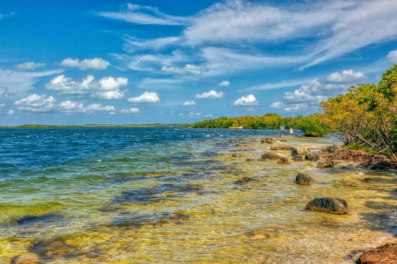 Shore of the Florida Keys, Key Largo