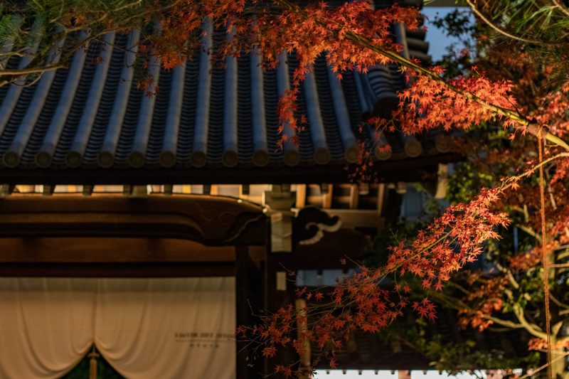 Autumn gate, Hotel the Mitsui Kyoto