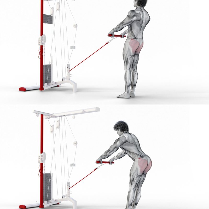 Cable deadlifts.