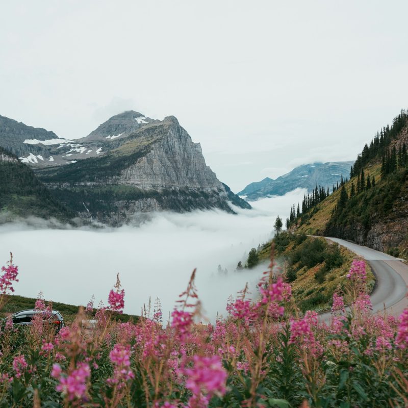 Glacier National Park morning mist over road