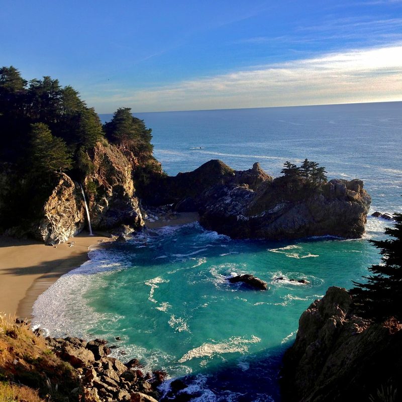 Green trees on brown rocky shore during daytime