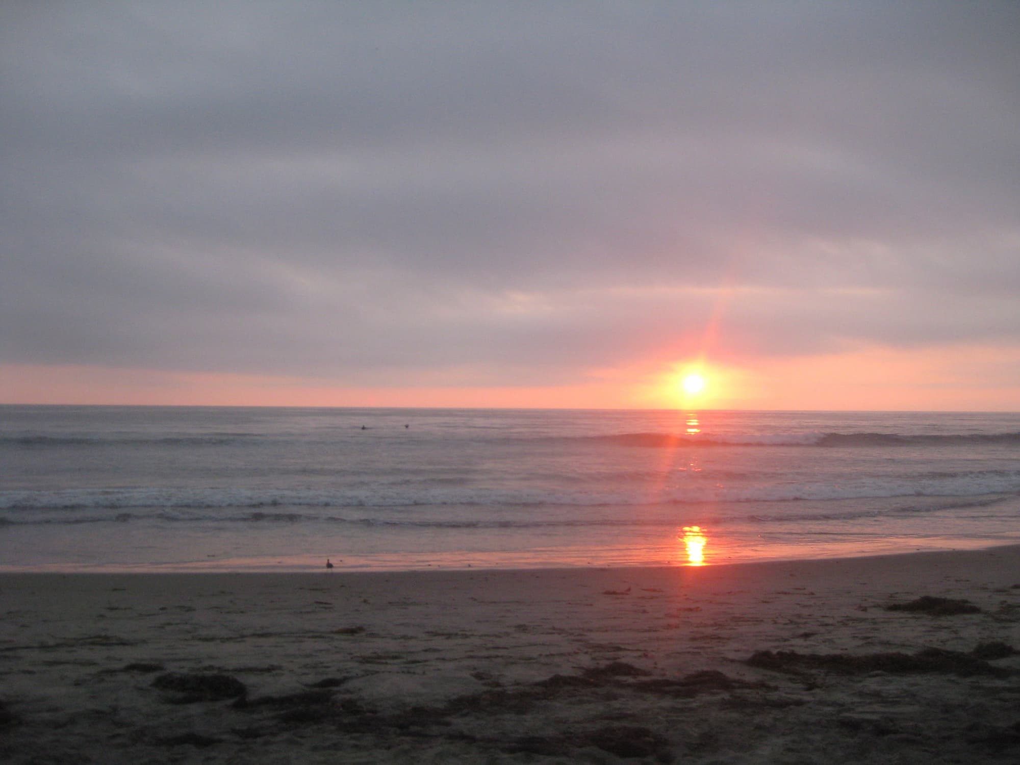 beach during sunset