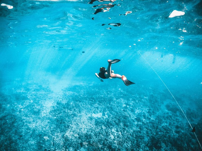 Maui snorkeling
