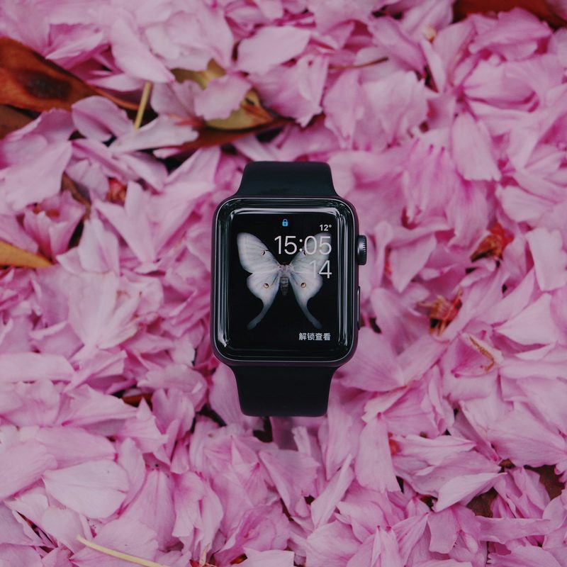 Butterfly screensaver on Apple Watch sitting in flowers