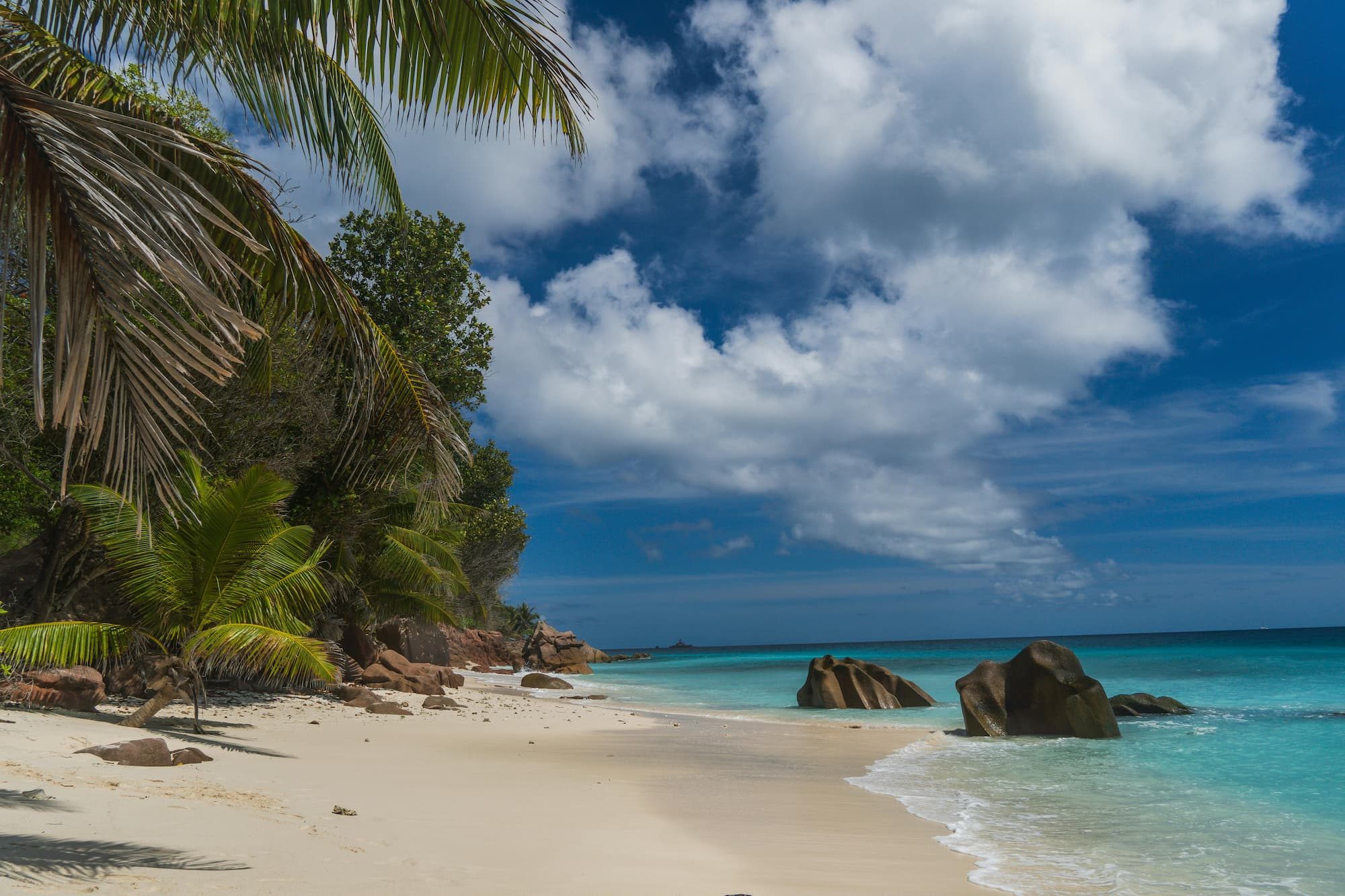 view of a beach during the day