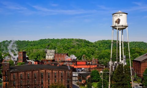 Buffalo Trace