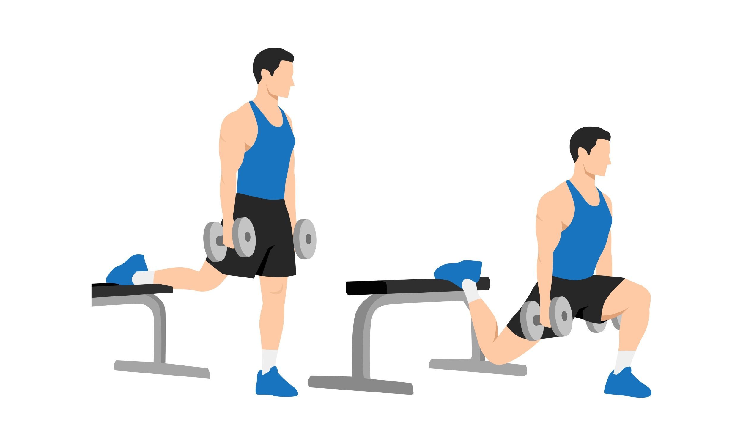 bulgarian split squat