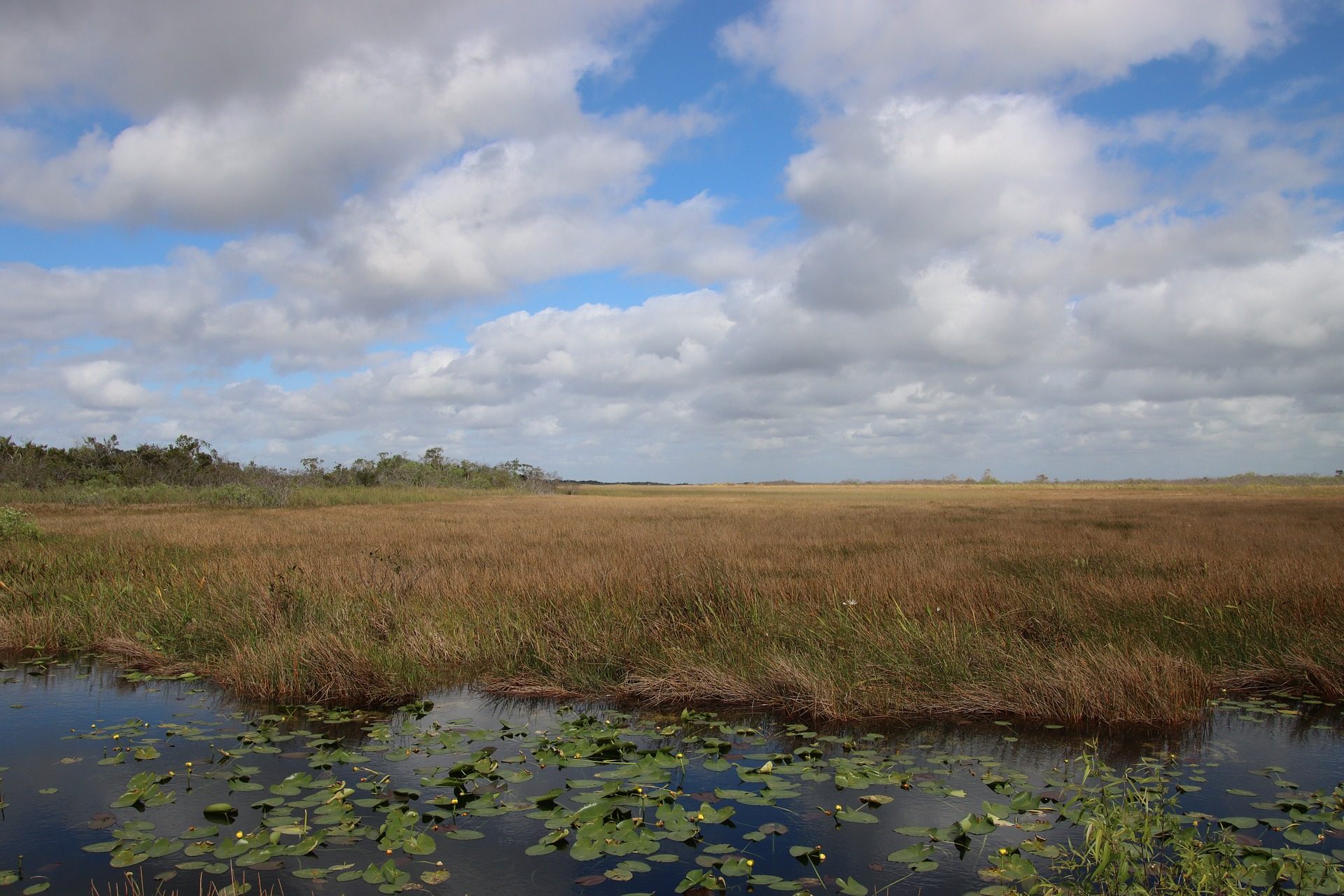 Everglades
