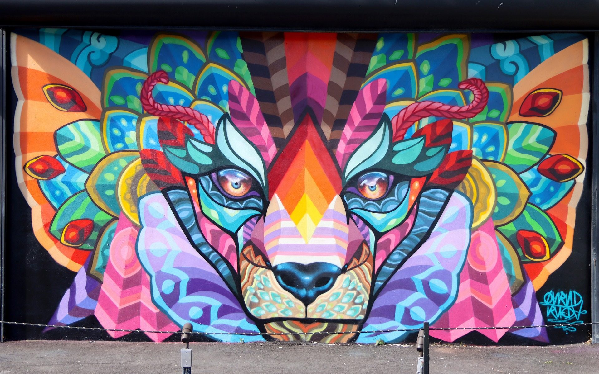 Wynwood Walls