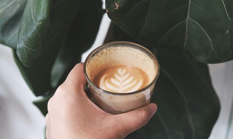 cortado