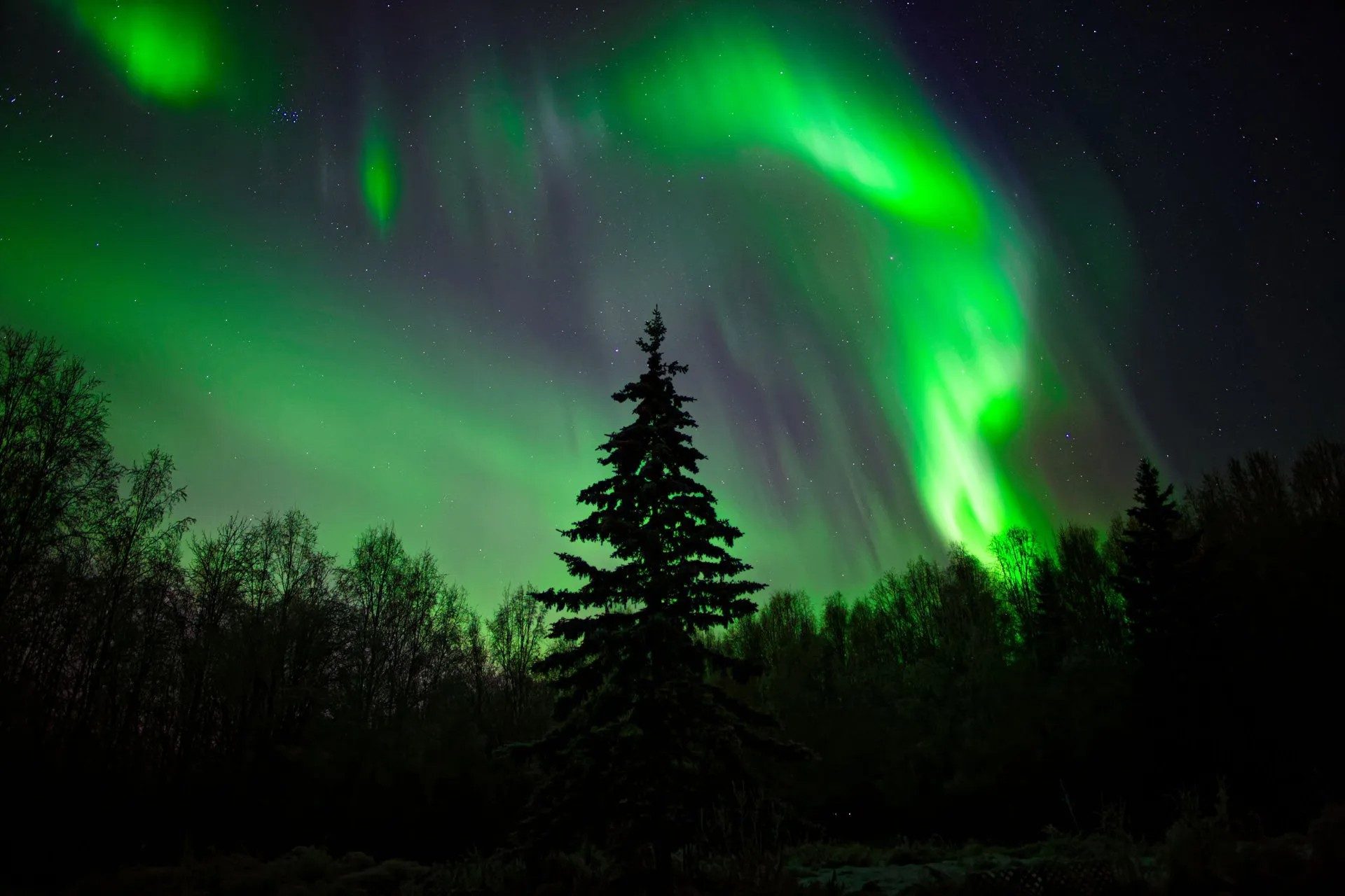 view of Northern Lights from Alaska