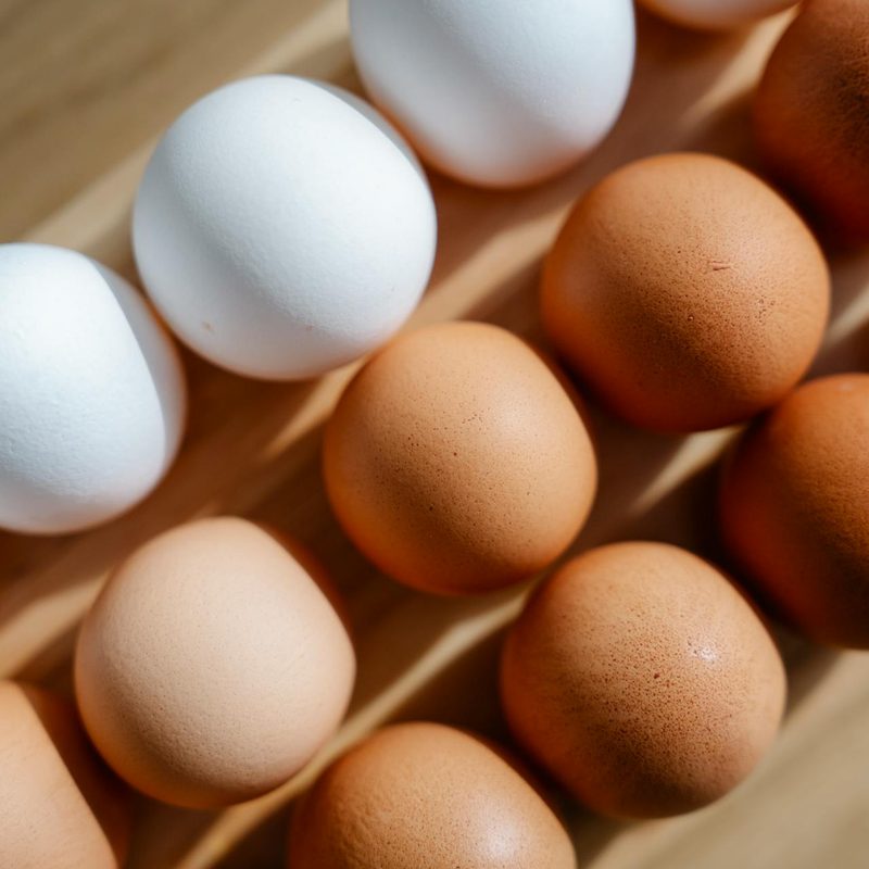 Eggs of different shades of white and brown sitting in carton