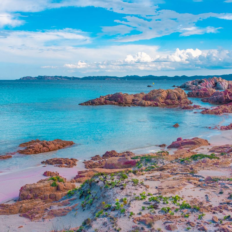 Pink Beach, Budelli Island, Italy