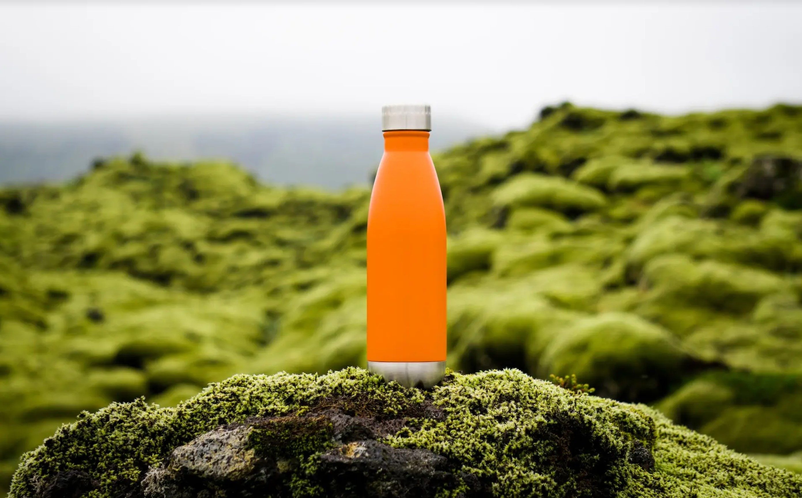 orange water bottle sitting outside