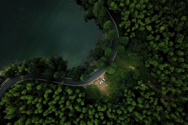 Aerial shot of a white car parked on a heavily wooded forest road.