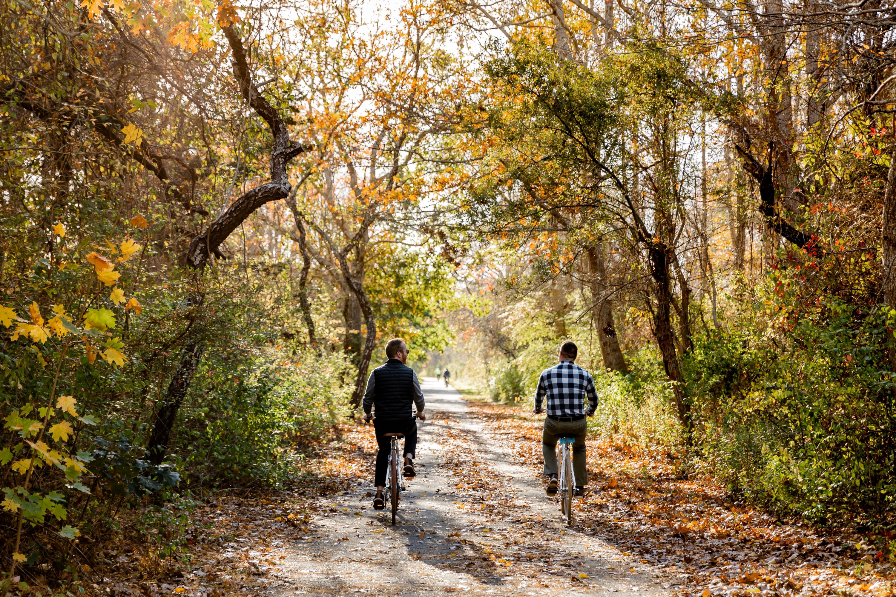 Two men riding bikes in fall foliage