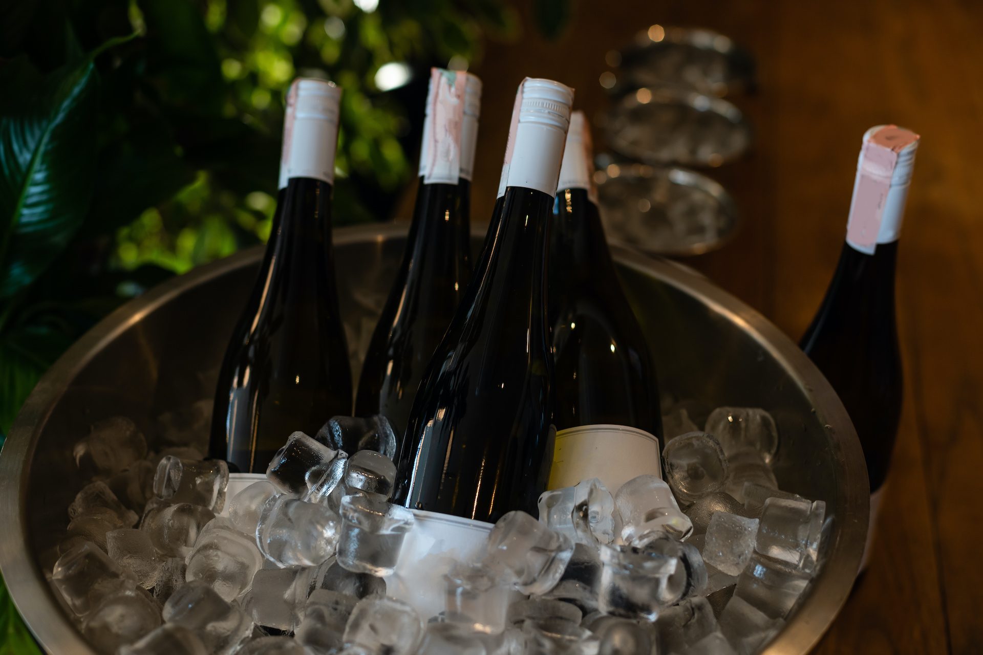 Bucket of wine bottles at a backyard party.
