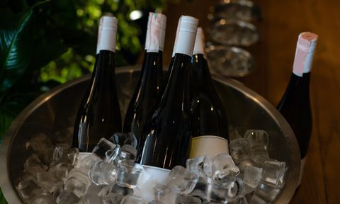 Bucket of wine bottles at a backyard party.