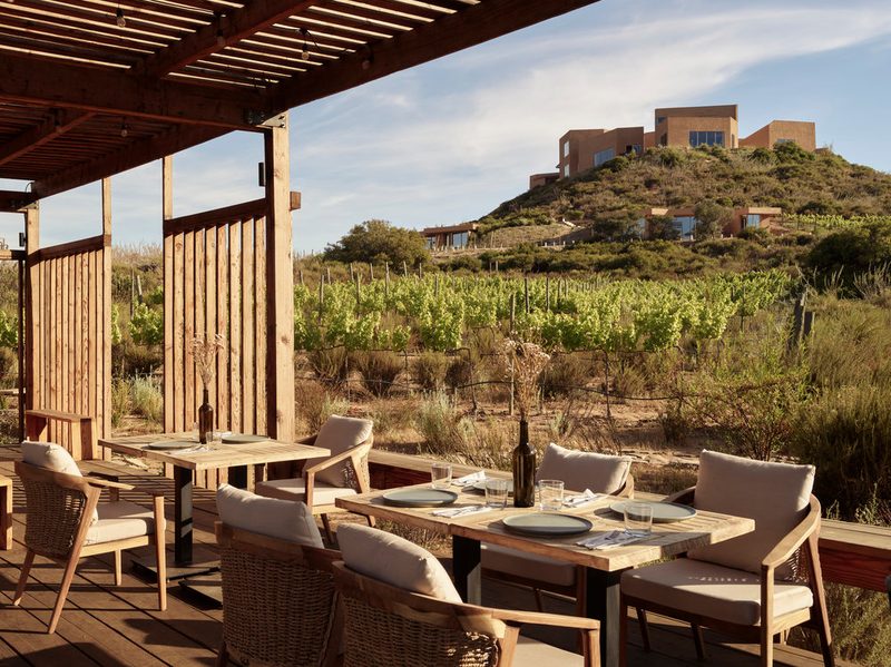 Jardin Botanico Restaurant at Banyan Tree Veya Valle de Guadalupe