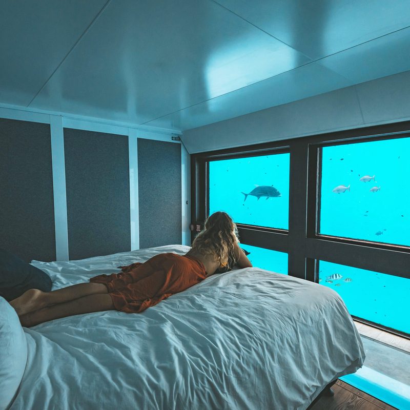 Cruise Whitsundays Reefsuites woman on bed looking at fish