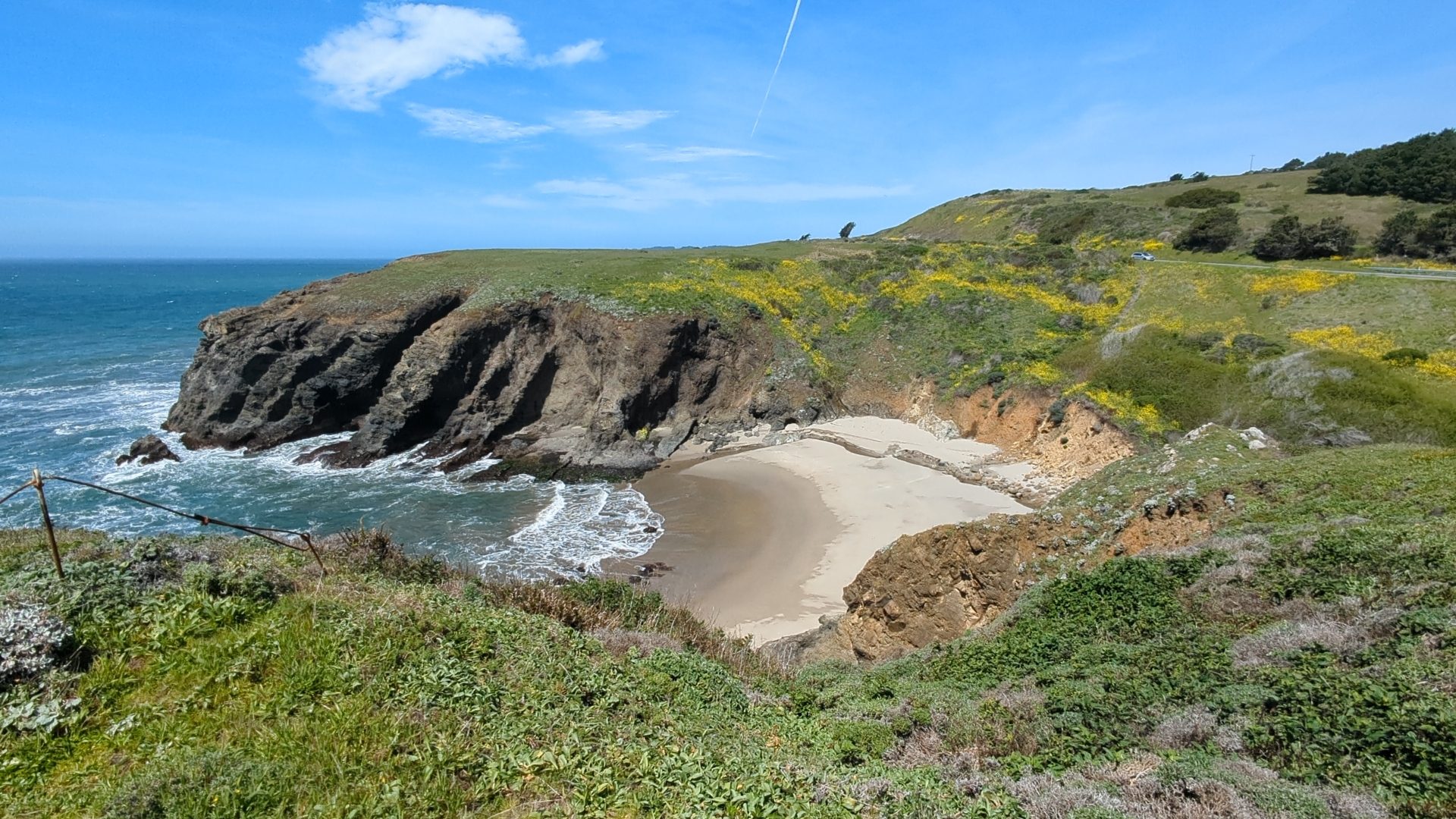 A scenic summer view on Highway 1 with cliffs and yellow flowers in California