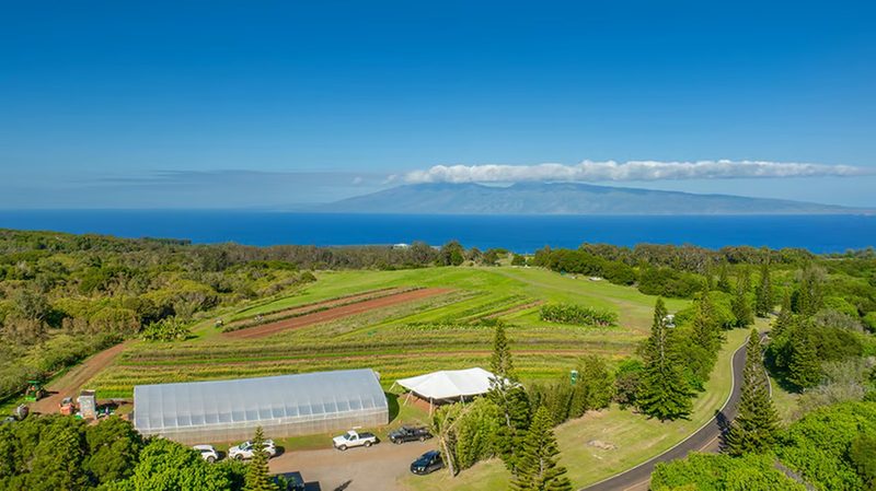 Overhead photo Hua Momona Farms